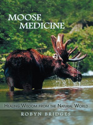 cover image of Moose Medicine